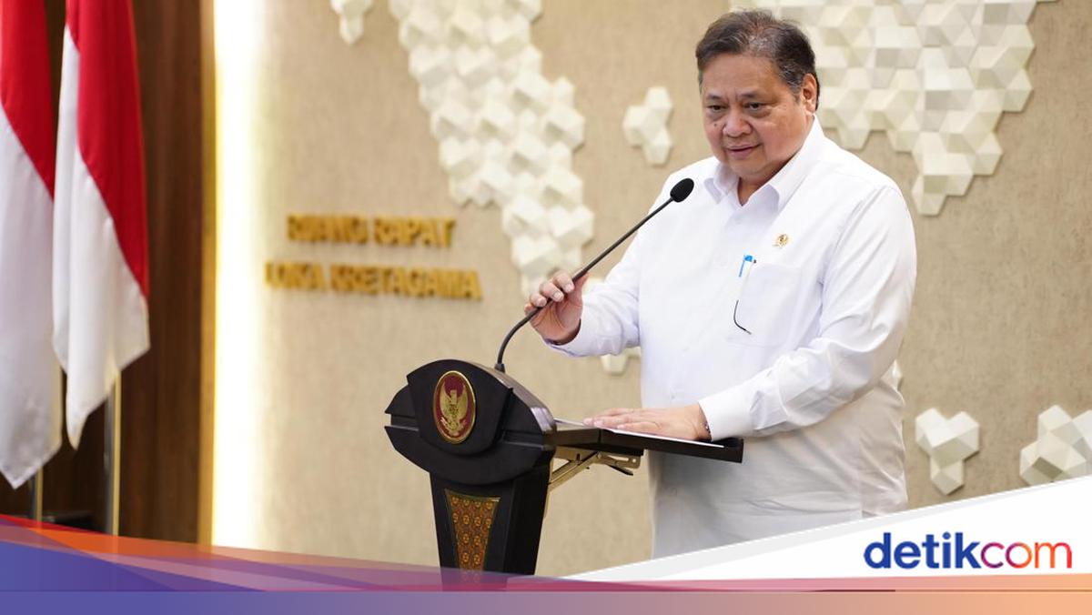 Airlangga Sebut Harga Avtur Jadi Biang Kerok Tiket Pesawat Naik