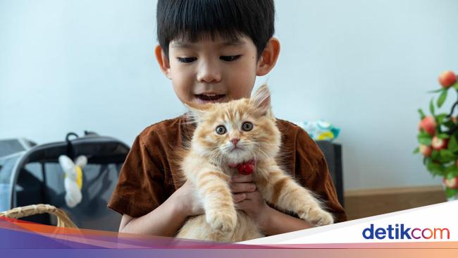 ilustrasi-anak-memelihara-kucing-1_169