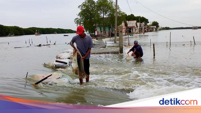 Pesisir Utara Karawang Dilanda Banjir Rob, Ratusan Rumah Warga Terendam