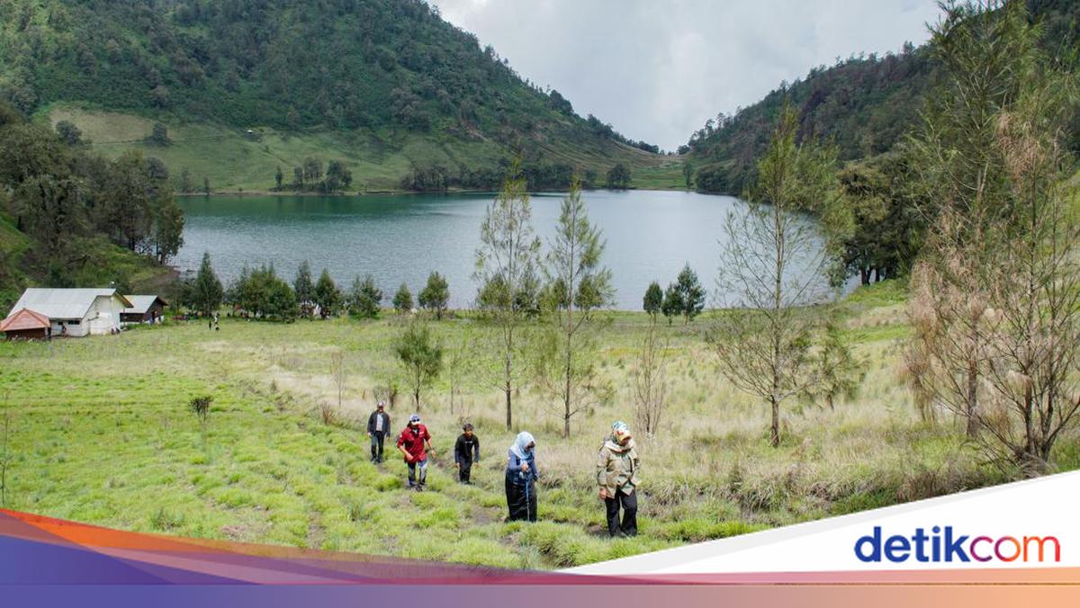 4 Taman Nasional di Jawa Timur, Ini Lokasi dan Daya Tariknya