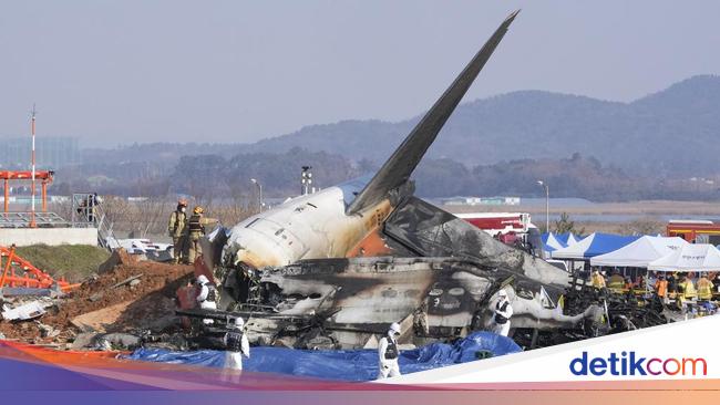 5 Fakta Kecelakaan Jeju Air di Korsel, Ada Ratusan Korban Jiwa