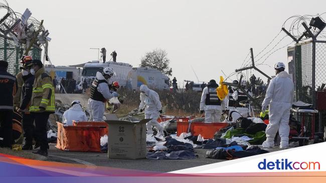 2 Kotak Hitam Pesawat Jeju Air yang Kecelakaan Ditemukan