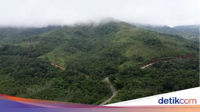 Solusi Menuju Indonesia yang Rendah Emisi