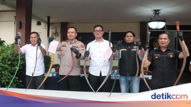 2 Pelaku Tawuran Ditangkap di Jakpus, Sempat Coba Bacok Petugas