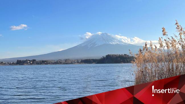 Survei Tunjukkan Pergeseran Tren Wisata 2025, Banyak yang Dipengaruhi TikTok
