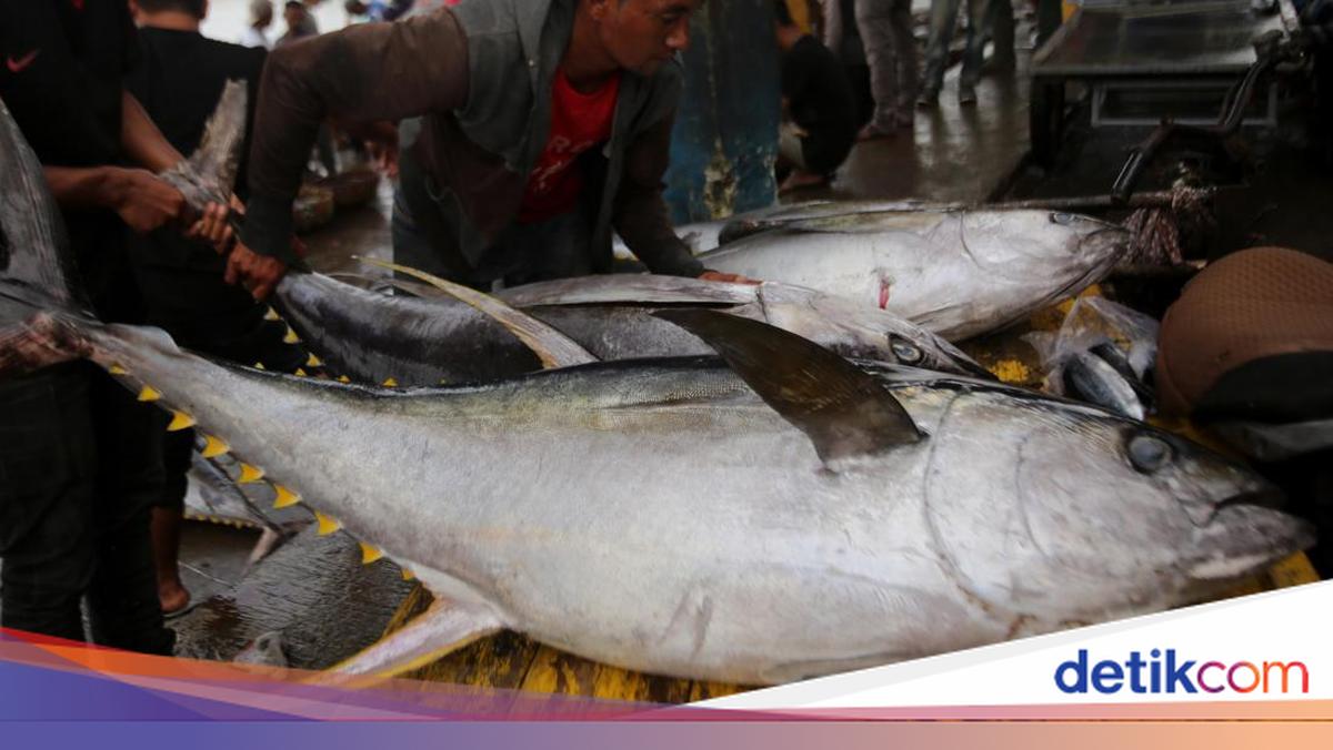 Jepang Butuh Tenaga Kerja Perikanan, RI Siap Kirim