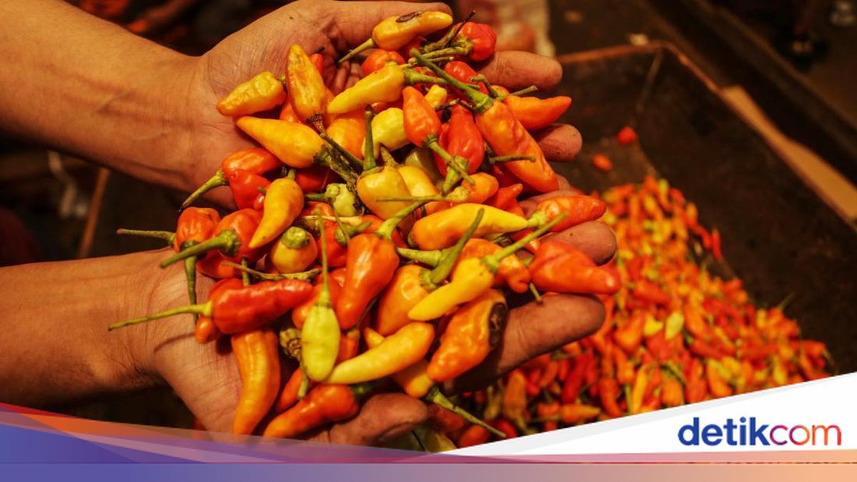 Harga Cabai Rawit Makin Pedas, Tembus Rp 75 Ribu/kg