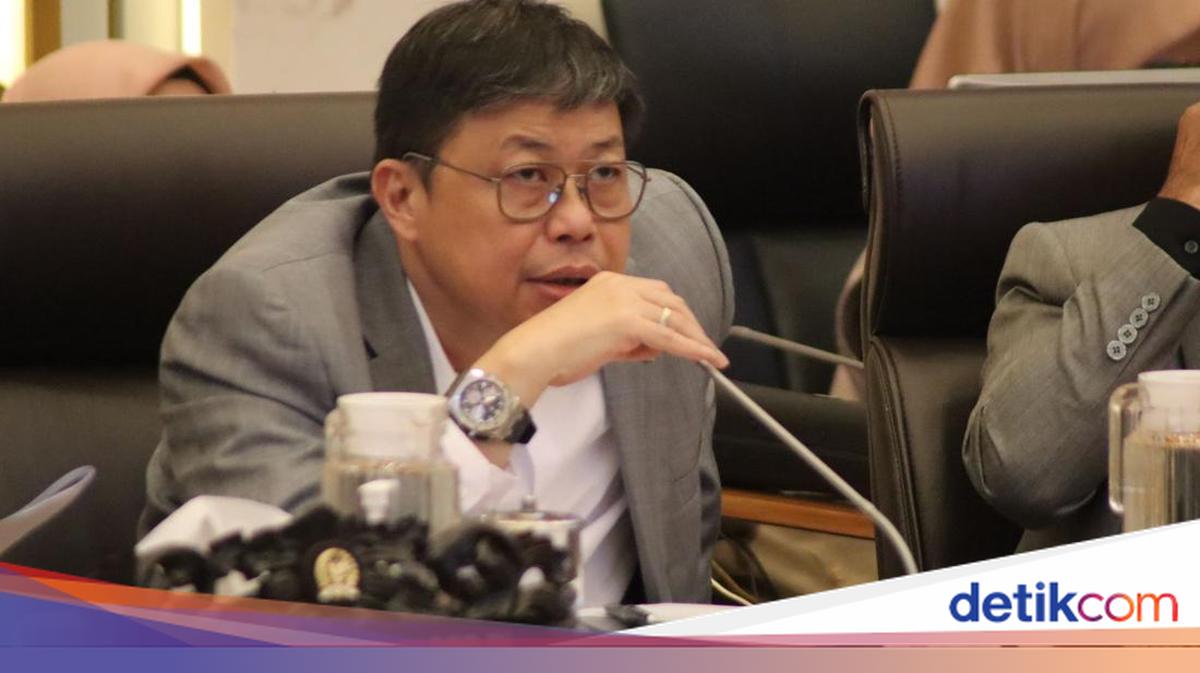 Rehabilitasi Pascabencana Sumatera, Waka Komisi IV DPR Dorong Reforestasi