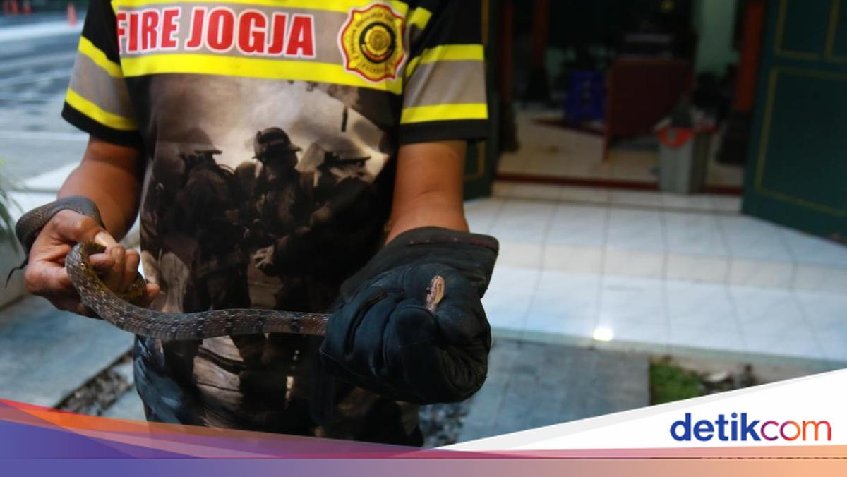 Damkarmat Jogja Pilih-pilih Laporan Warga, Ada Apa?