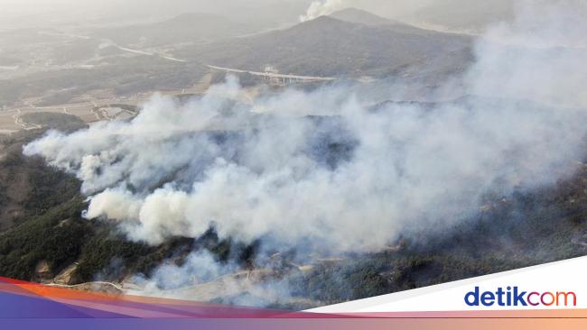 kebakaran-hutan-di-korsel-merambat-ke-pemukiman-15-orang-tewas-1742957456481_169