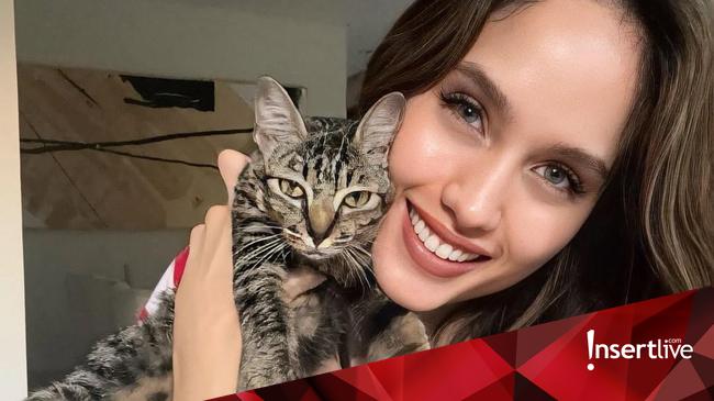 Deretan Artis Tanah Air yang Punya Kucing Kesayangan
