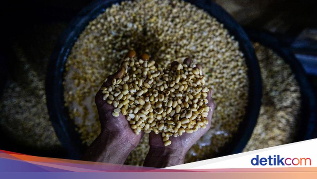 Harga Kedelai Naik Imbas Konflik Timteng, Bapanas Klaim Masih di Bawah Acuan