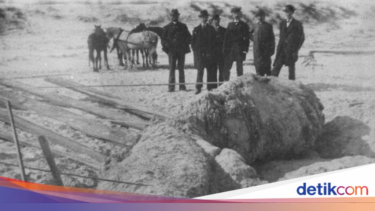 Benda-benda Mengejutkan yang Ditemukan di Pantai dan Laut