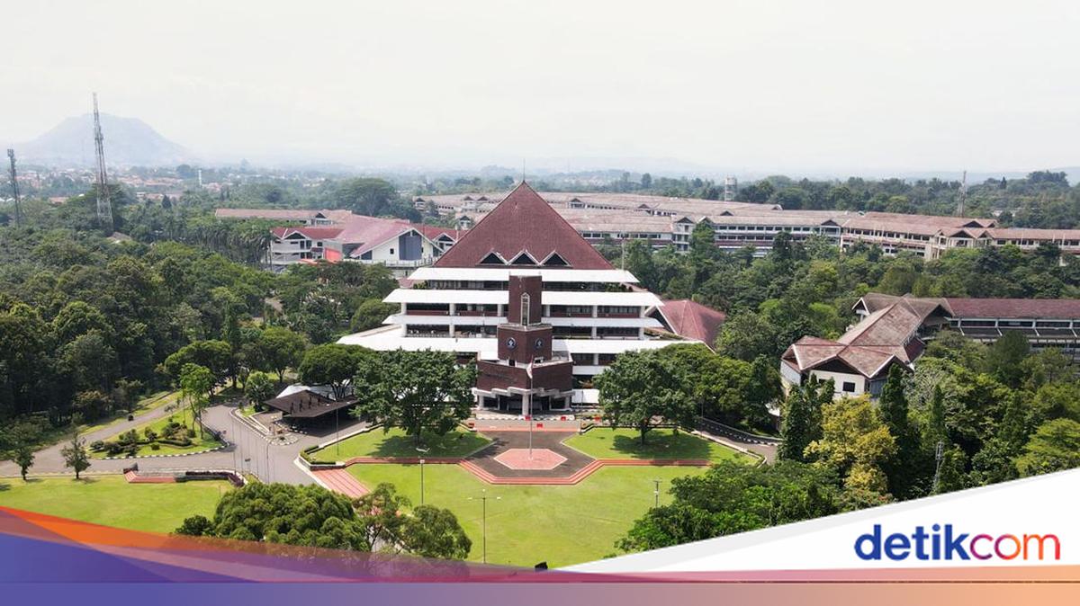 Selain Diskors, 16 Mahasiswa Pelaku Pelecehan di Grup Chat Juga Disanksi Sosial