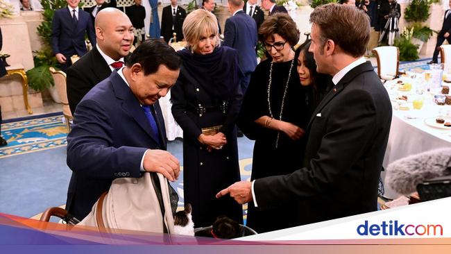 saat-macron-brigitte-bertemu-kucing-prabowo-bobby-kertanegara-1748476497596_169