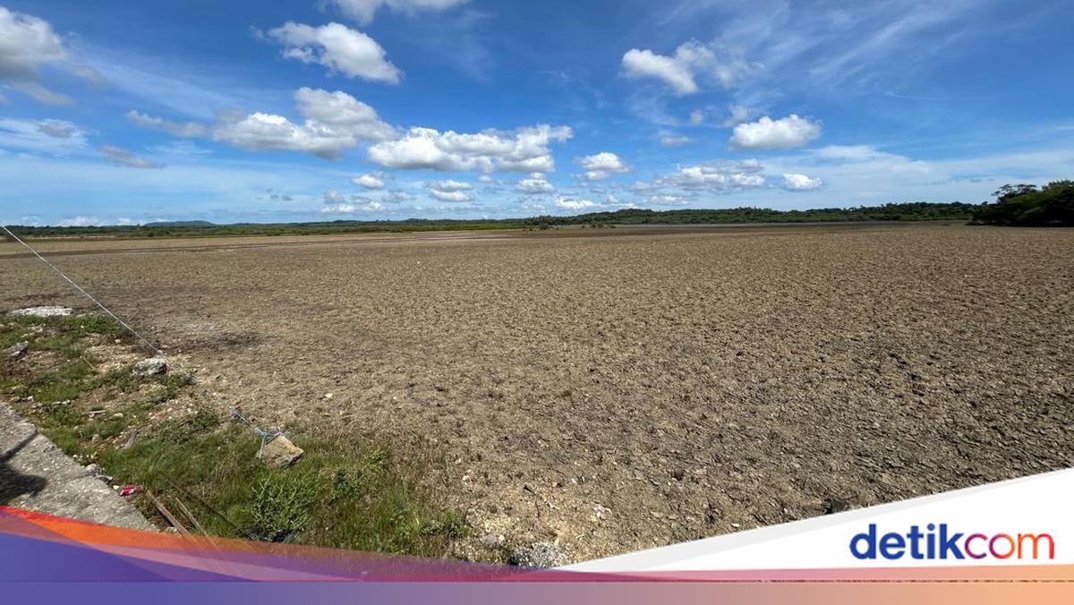 Ri Targetkan Swasembada Garam 2027, Rote Ndao Jadi Andalan