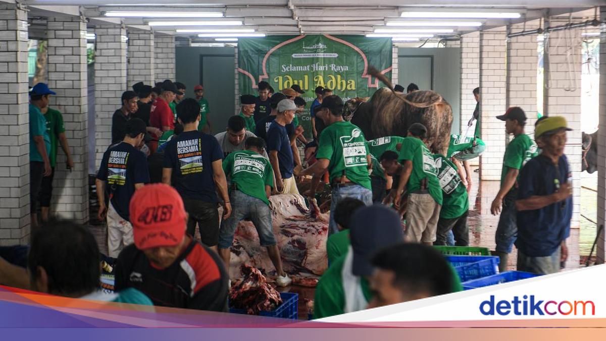 Istiqlal Tak Bagi Daging Kurban Perorangan, Distribusi via Lembaga Terdata