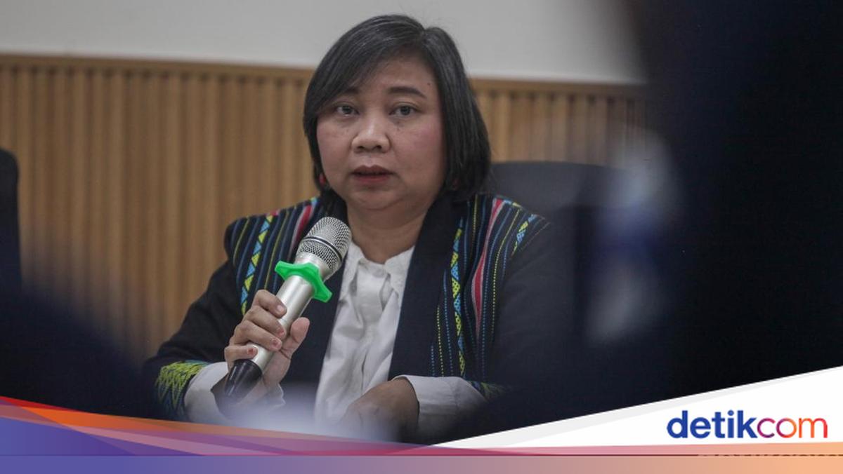 Komnas HAM: Operasi TPNPB-OPM Sebabkan Korban Jiwa Warga Sipil Langgar HAM