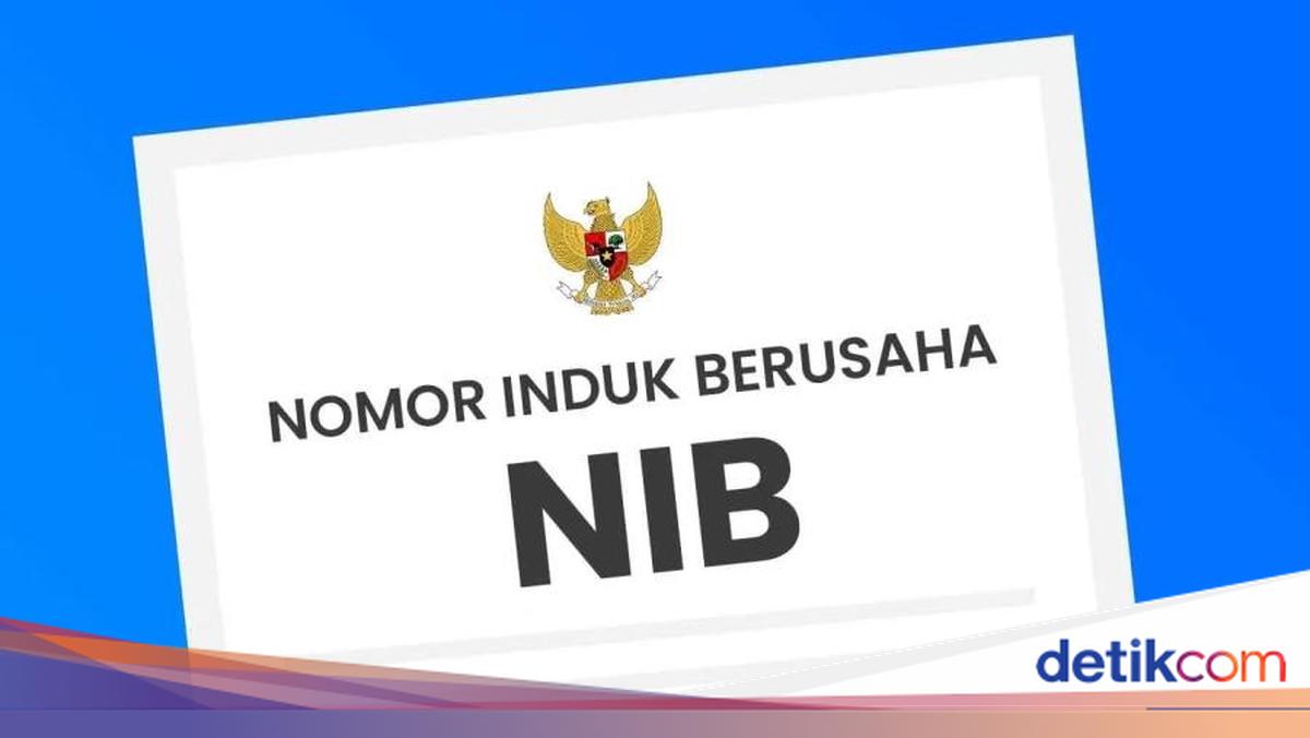 NIB Wajib bagi Pedagang Online Mulai 8 Juni 2026 — Masa Tenggang 18 Bulan, Tanpa NIB Diblokir Platform