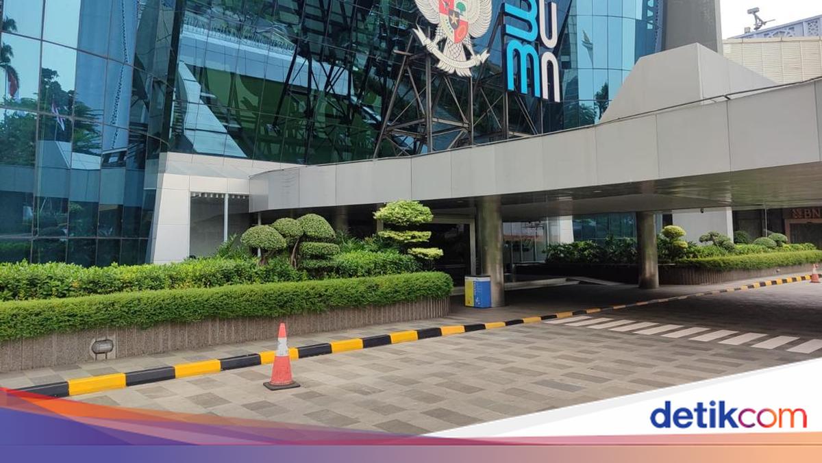 216 BUMN Sudah Dipangkas, Bagaimana Nasib Pegawai?