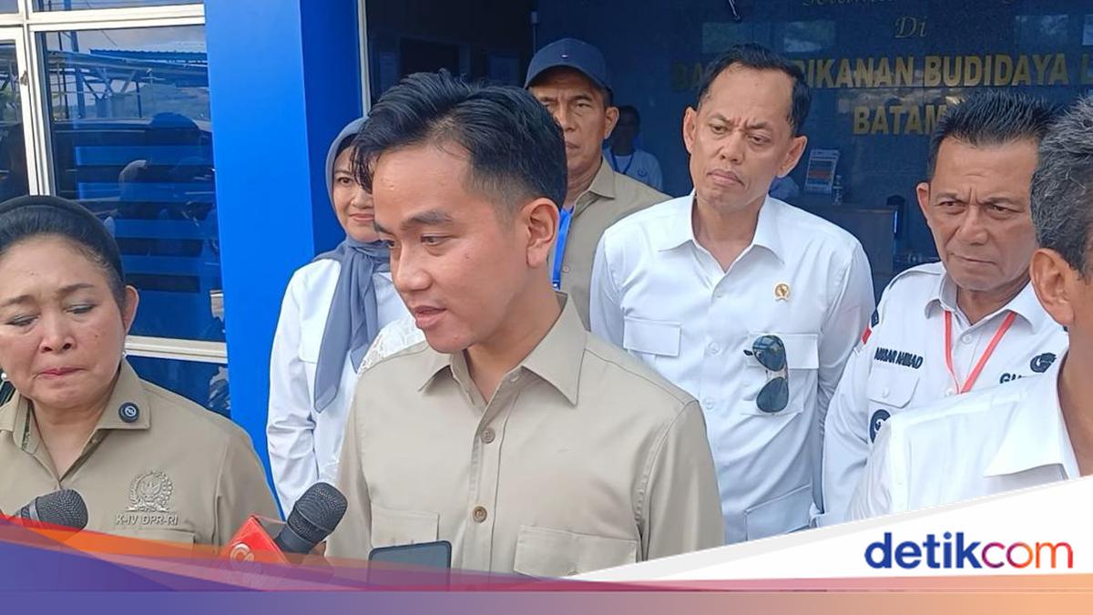 Wapres Gibran Minta Hakim Ad-hoc Dilibatkan di Sidang Air Keras Andrie Yunus