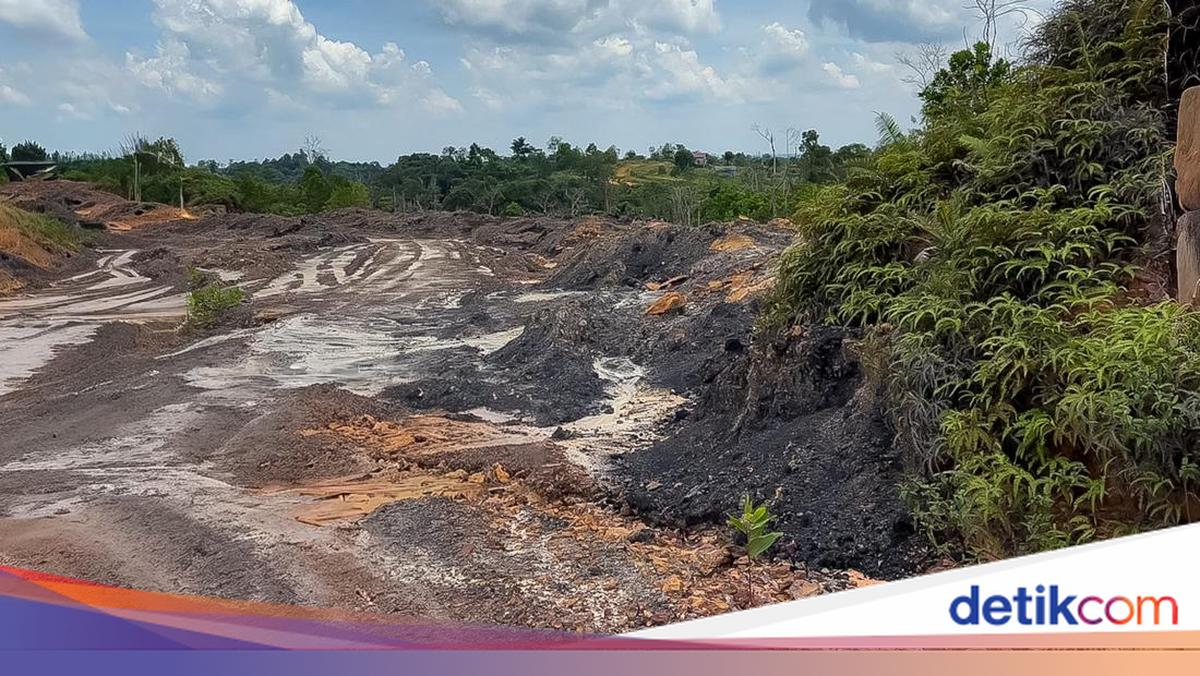 Tambang Ilegal di Sekitar IKN Terbongkar, Ini Daftarnya