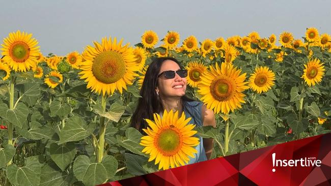 Dikira Suara Bom, Pevita Pearce Tak Tahu Suara Token Listrik Habis