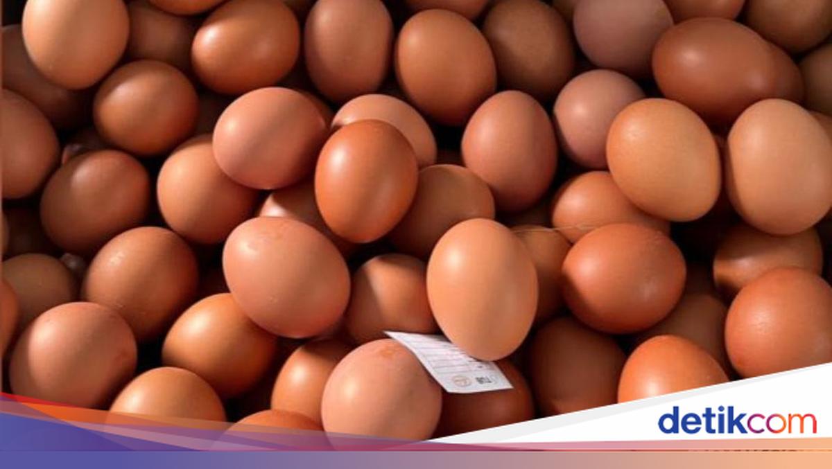 RI Ekspor Telur-Daging Ayam Rp 18,2 Miliar