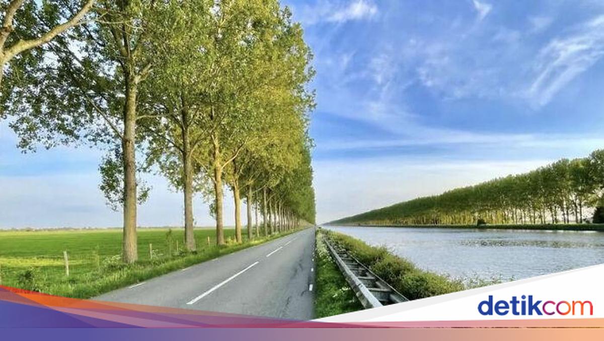 Foto yang Dikira AI, Padahal Asli