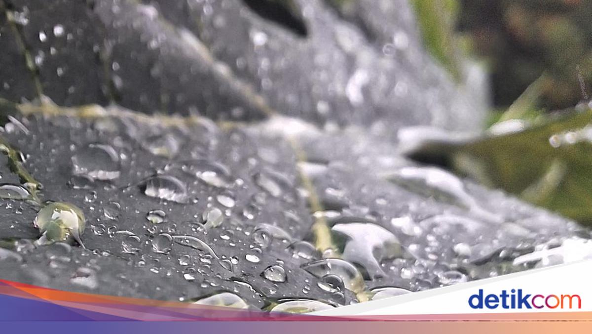 Prakiraan Cuaca DIY Hari Ini: Kaliurang-Parangtritis Diguyur Hujan