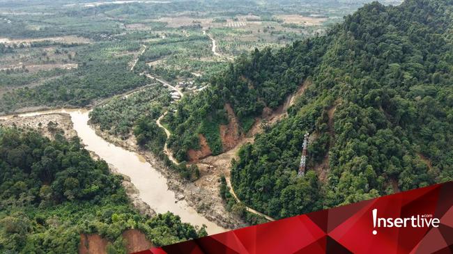 Tanggapi Ide Pandawara Group soal Beli Hutan, Komisi IV DPR: Sindiran untuk Pemerintah
