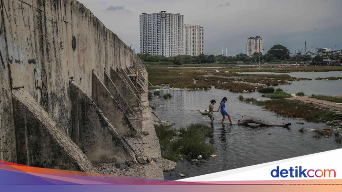 Wamen Atr Ungkap Kondisi Lahan Buat Proyek Tanggul Laut Raksasa