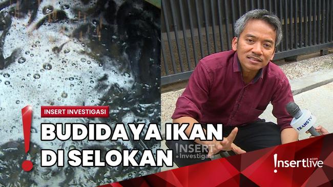 Unik! RT di Duren Sawit Kembangkan Budidaya Ikan Lele dari Selokan