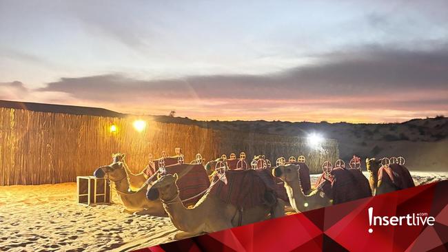 Menyusuri Kilau Kota Emas: Perjalanan Mewah Menuju Gerbang Dubai Melalui Langit Emirates