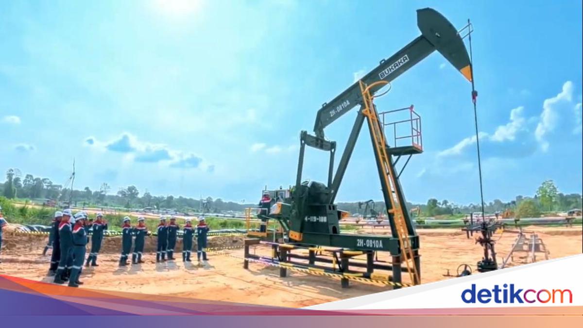 Pertamina Bidik Tambahan Produksi 4 Miliar Barel Minyak di Lapangan Minas