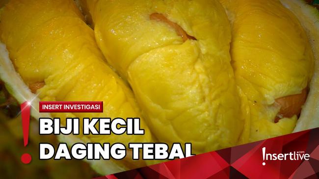 Mencicipi Buah Durian di Jakarta Utara Senilai Jutaan Rupiah