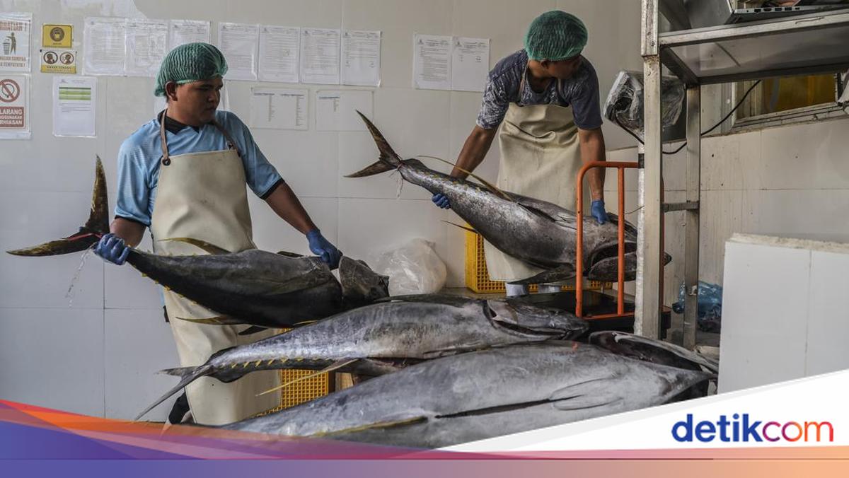 Tarif 0% Olahan Tuna ke Jepang Mulai 1 Agustus