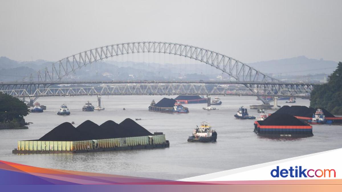 Ini Alasan Batu Bara dan Produk Turunan Nikel Bakal Kena Bea Keluar