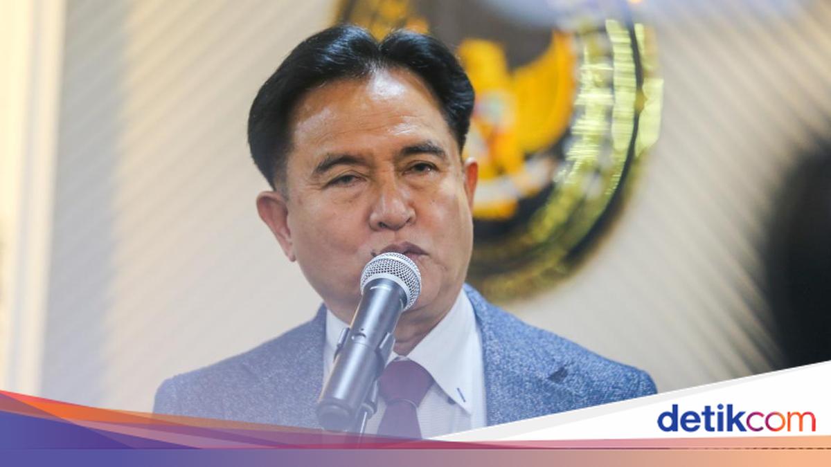 Catatan Yusril Usai Tegaskan Pemerintah Tak Larang Pemutaran Film 'Pesta Babi'