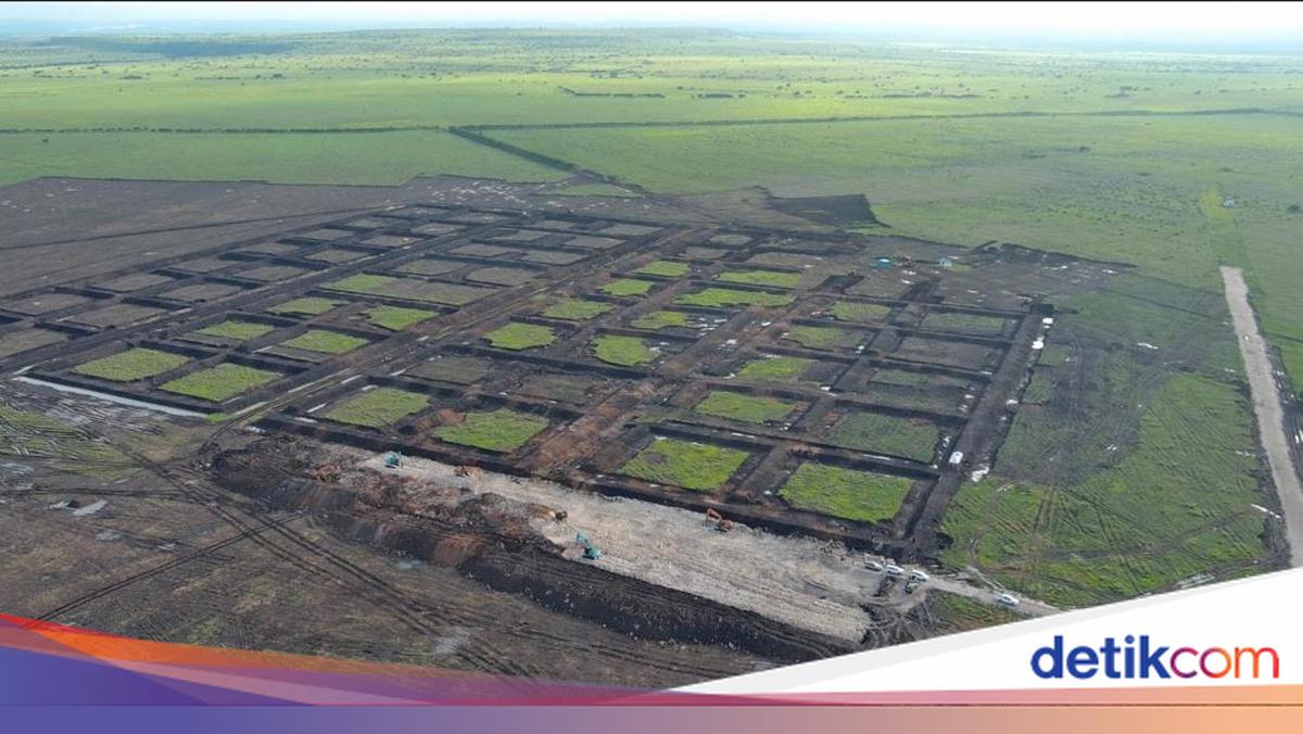 Tambak Udang Rp 7,2 Triliun Bakal Dibangun di NTT