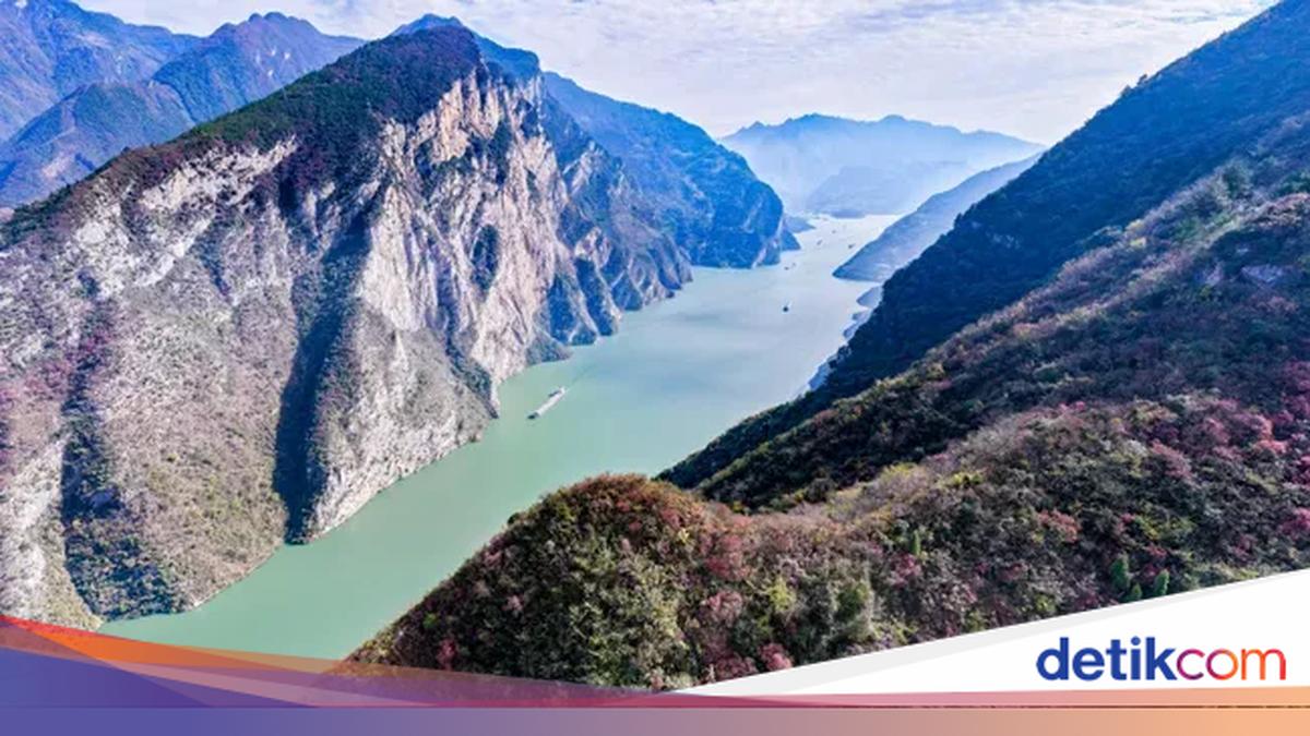 Larangan Tangkap Ikan di Sungai Raksasa China Sukses Pulihkan Spesies