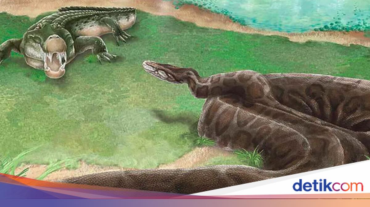 Bukan King Cobra, Ini Ular Berbisa Terbesar yang Pernah Teror Bumi
