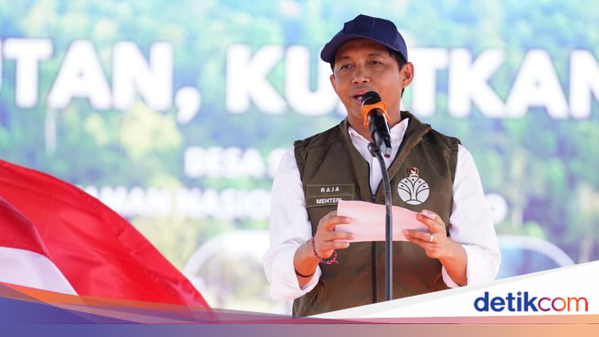 Menhut Terbitkan Aturan Baru soal Perdagangan Karbon, Ini Isinya