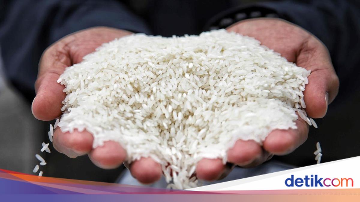 380 Ribu Ton Melayang, Produksi Beras RI Melemah, Panen Ikut Menyusut