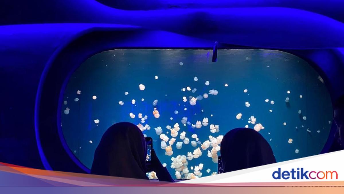 Keseruan Pengunjung Ngabuburit dan Buka Puasa di Jakarta Aquarium