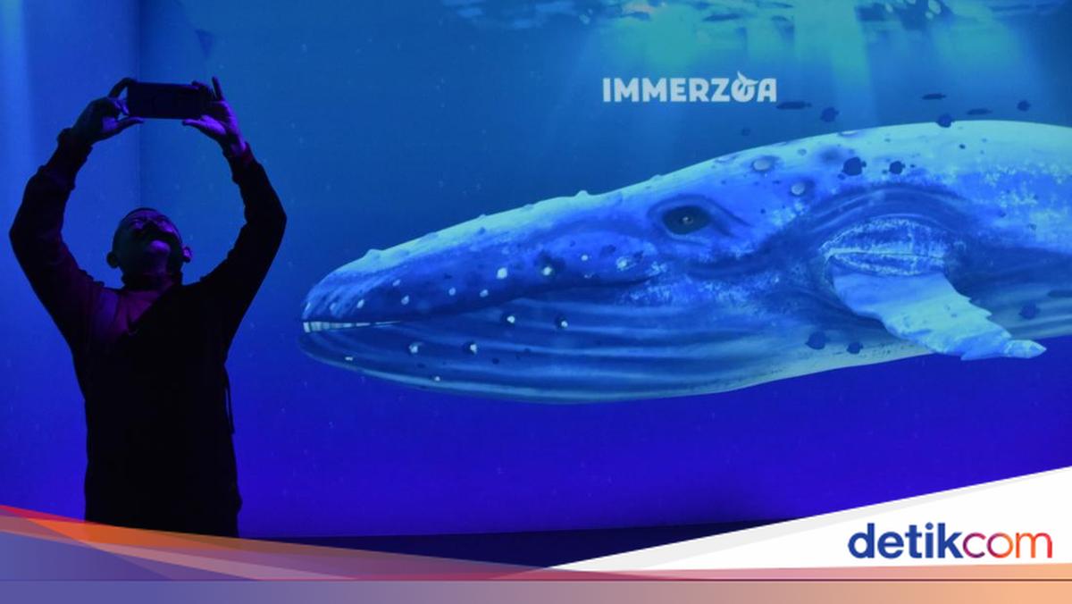 Museum Zoologi Bogor Hadirkan Ruang Imersif Dunia Satwa