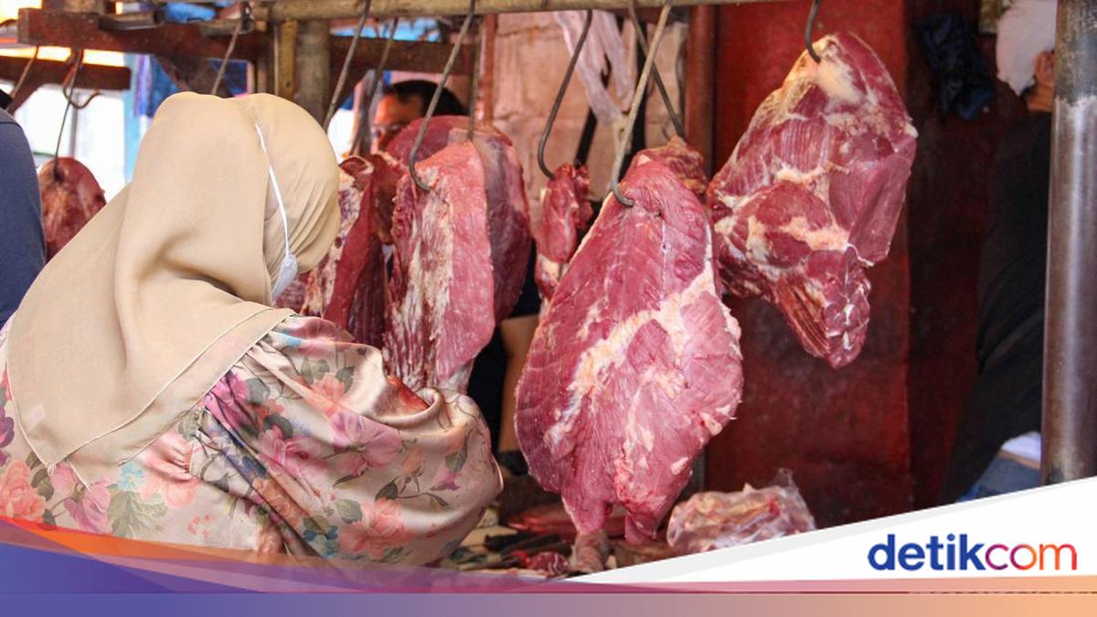 Pemerintah Siapkan Perpres Sapi Indukan — Target Swasembada Daging