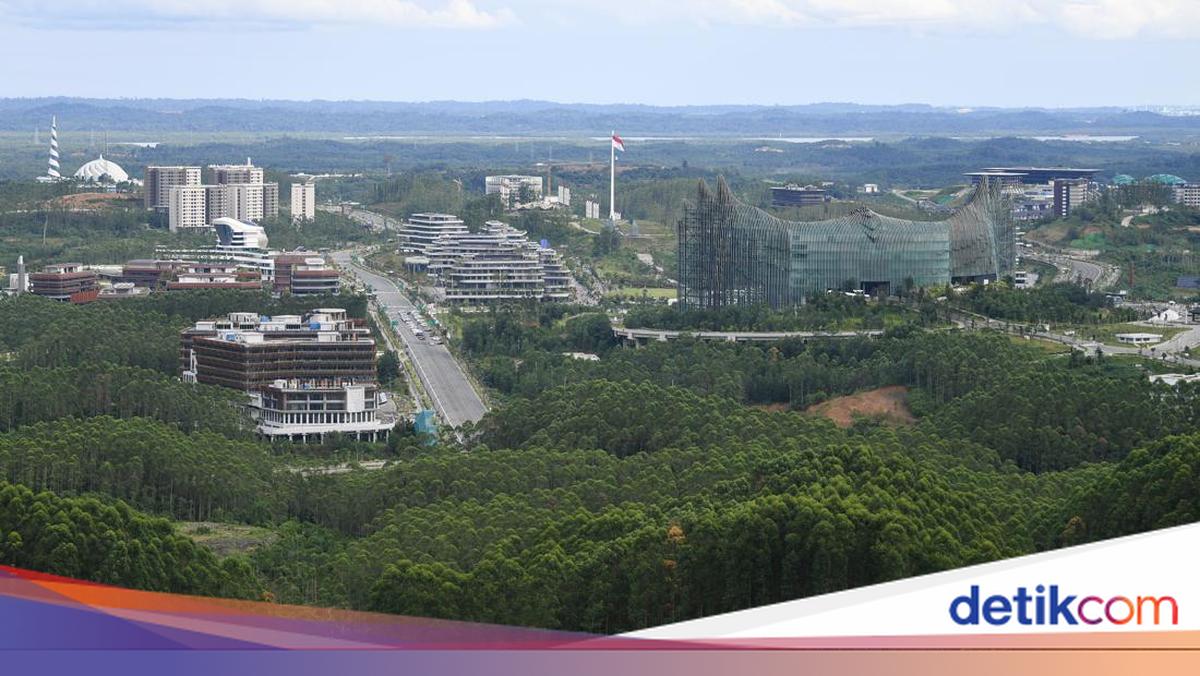 IKN Dikepung Tambang Ilegal, Satgas Turun Tangan