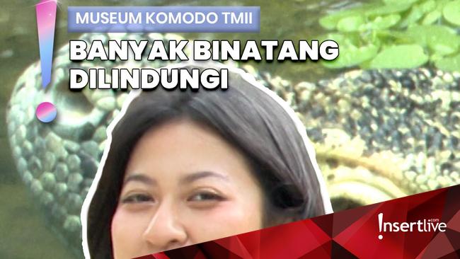 Video: Berkunjung ke Museum Komodo di TMII, Hewan yang Hanya Ada RI