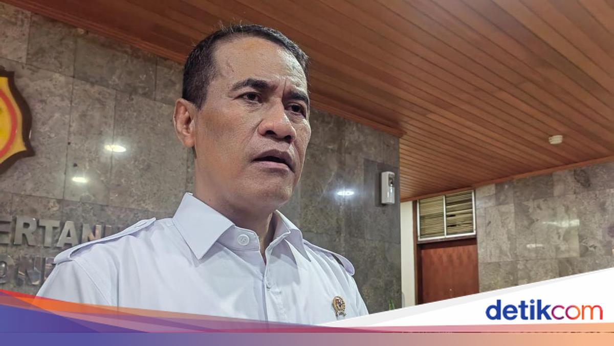 7.000 Ha Sawah di Sumbar Masih Rusak, Mentan Beri Peringatan Ini